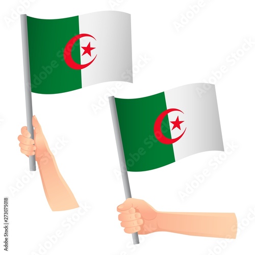 algeria flag in hand icon