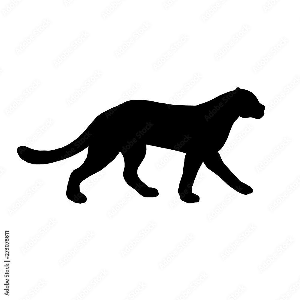 Vector flat black silhouette of leopard panther isolated on white background 