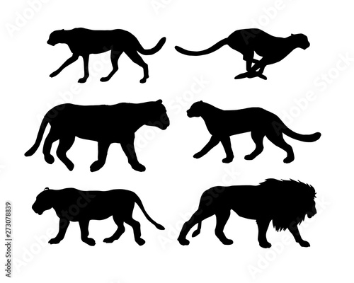 Photography Vector flat black set collection of wild cats silhouette isolated on white backg