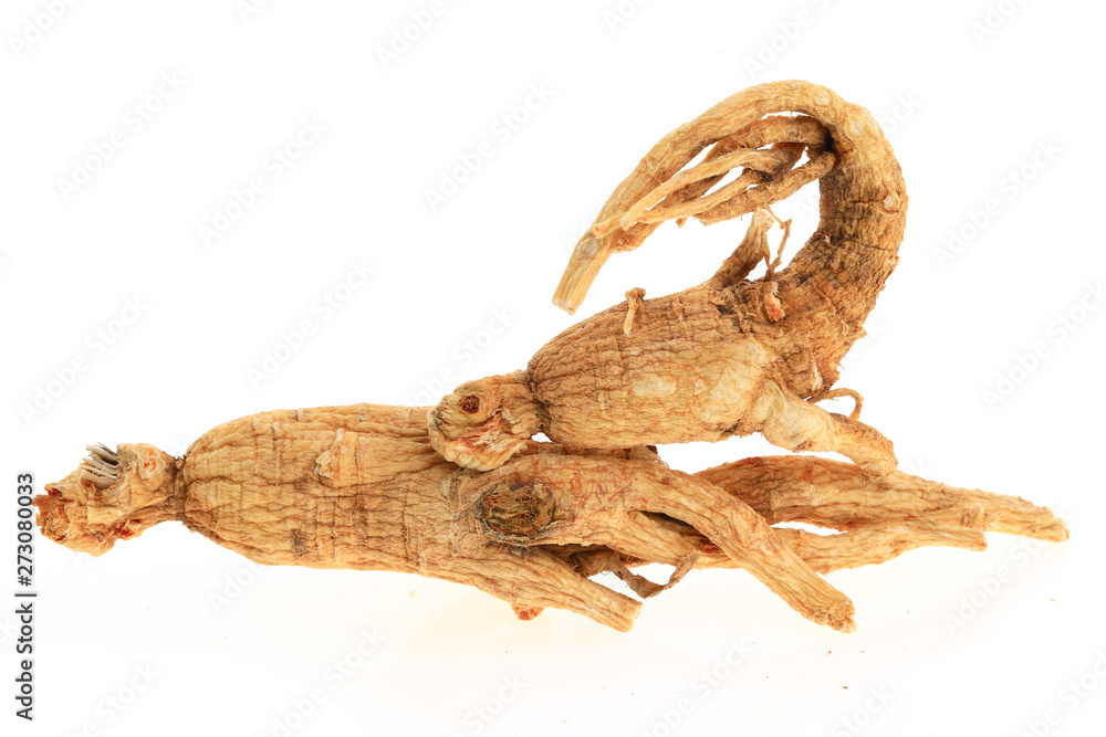 Ginseng on a white background Ginseng on a white background