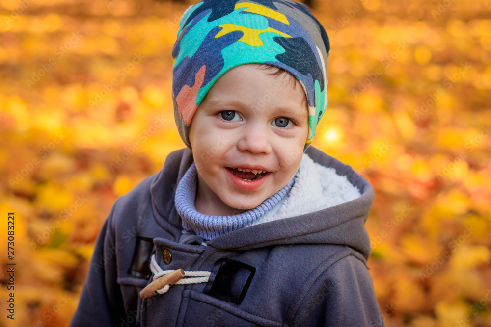 The boy sits in the autumn leaves in the park. Little boy. Very in the park. Golden autumn. Sunny day. The boy sits in the autumn leaves in the park. Little boy. Very in the park. Golden autumn. Sunny day.