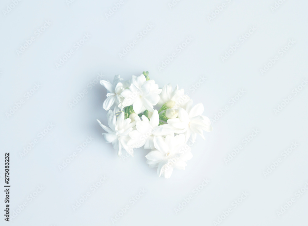 Jasmine Jasmine