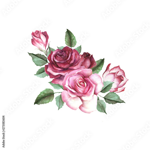 Roses and buds bouquet. Isolated on white background for your design. Waterco...