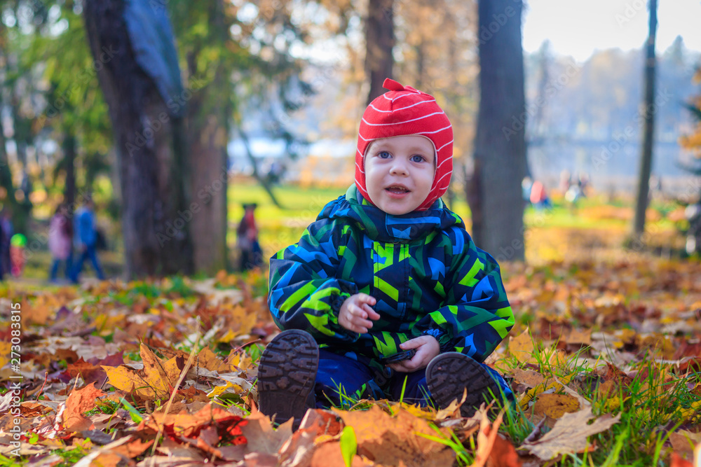 The boy sits in the autumn leaves in the park. Little boy. Very in the park. Golden autumn. Sunny day.