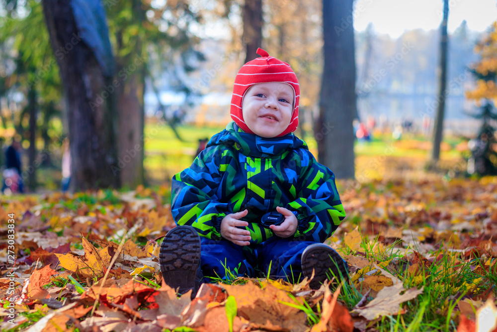 The boy sits in the autumn leaves in the park. Little boy. Very in the park. Golden autumn. Sunny day. The boy sits in the autumn leaves in the park. Little boy. Very in the park. Golden autumn. Sunny day.