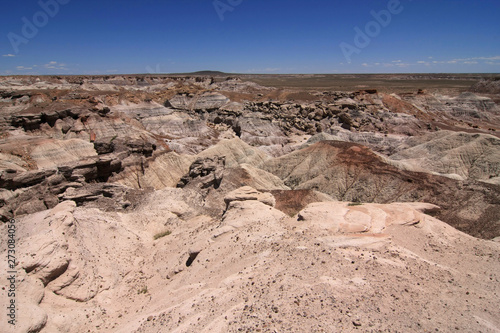 Badlands of the Painted Desert in Petrified Forest National Park, Arizona, under a cloudless summer sky.