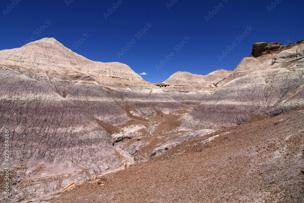 Badlands of the Painted Desert in Petrified Forest National Park, Arizona, under a cloudless summer sky. Badlands of the Painted Desert in Petrified Forest National Park, Arizona, under a cloudless summer sky.