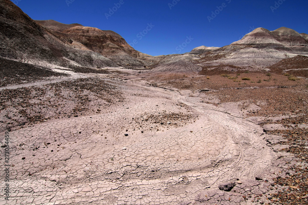 Badlands of the Painted Desert in Petrified Forest National Park, Arizona, under a cloudless summer sky.