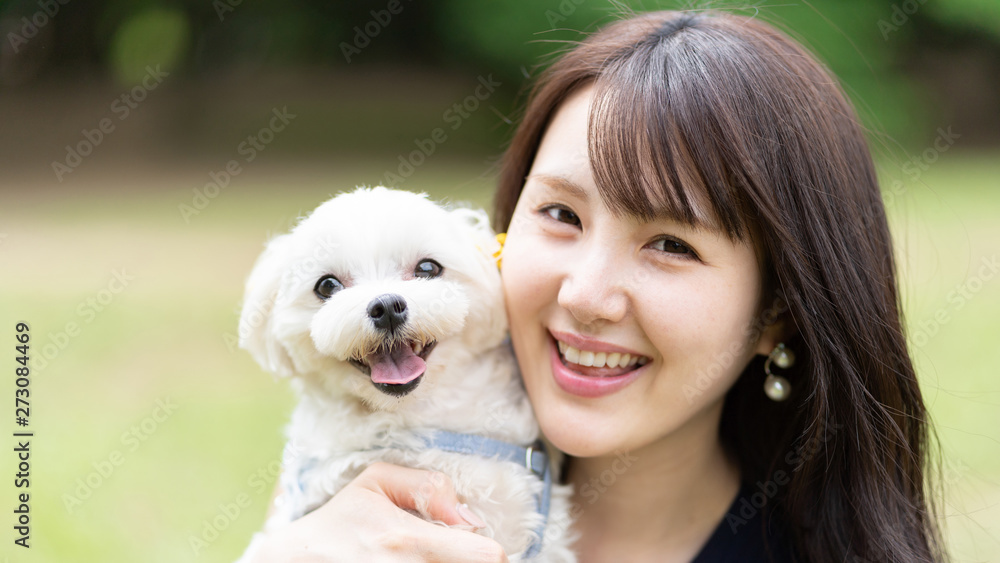 マルチーズ ペット マルチーズ ペット