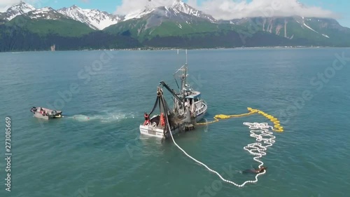 Commercial fishermen competing with sea lions for salmon