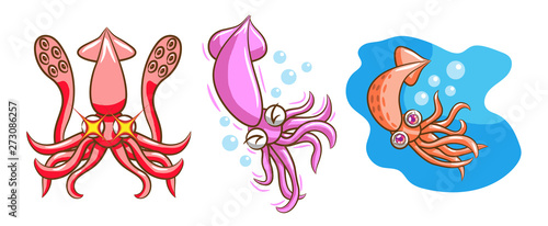 squid vector clipart