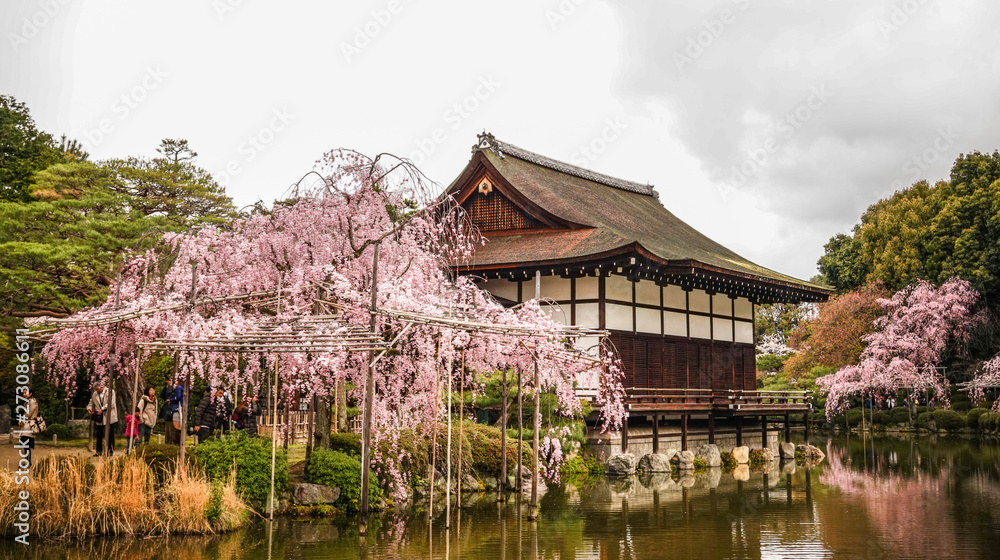 Ancient wooden palace with cherry blossom Ancient wooden palace with cherry blossom