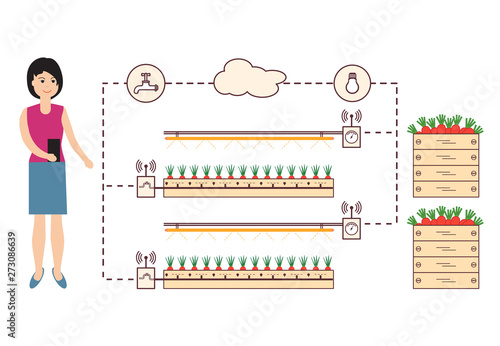 Woman controls the smart farm and agriculture.