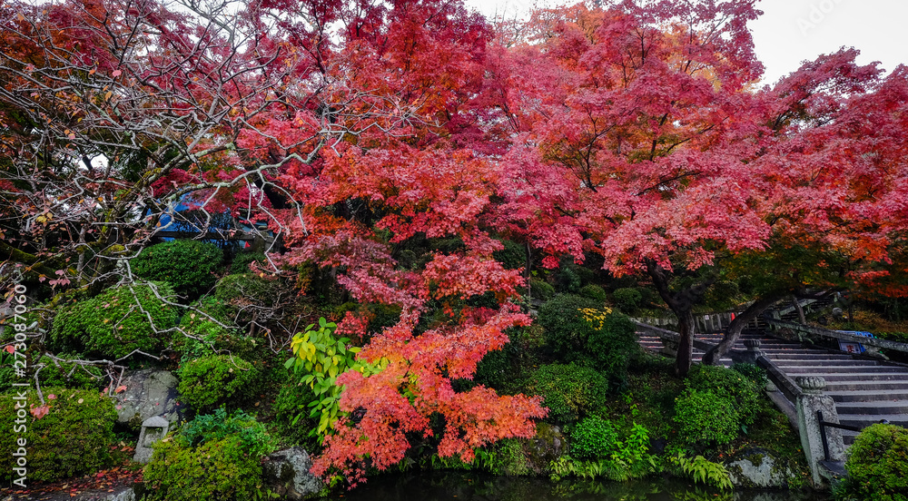Autumn garden in Kyoto, Japan Autumn garden in Kyoto, Japan