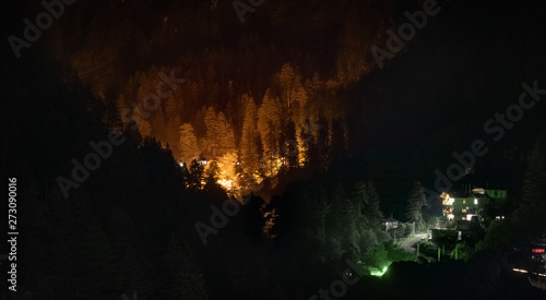 Trees of the valley lit up with a big, bright Halogen light making it look like there's fire in the forest. The hotel lights make some more trees glow in the night alongside the road