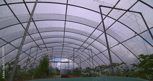 Wheelbarrow Point of View  tracking shot inside polytunnel garden greenhouse photo