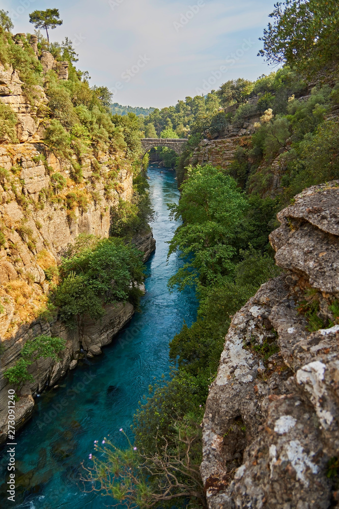 wonderful landscape with mountain river, canyon and bridge