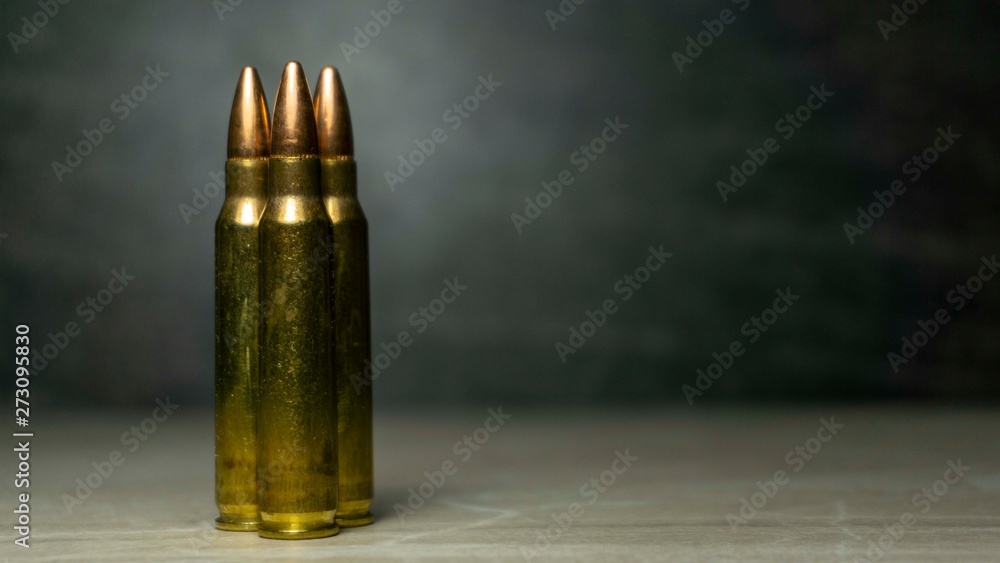 Rifle Ammunition - Gun Bullet Large Caliber Rifle Ammunition - Gun Bullet Large Caliber