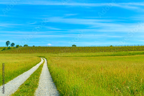 Paesaggio di campagna. © bussiclick