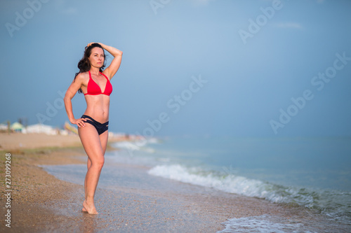 a slender brunette in a bikini stands on a sandy beach near the surf