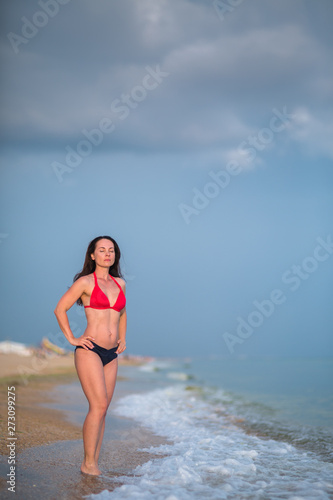 a slender brunette in a bikini stands on a sandy beach near the surf