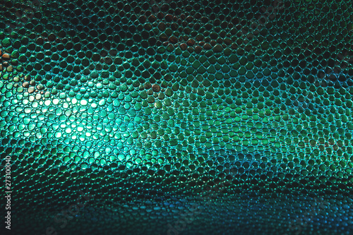 Fish or reptile scale dark moody background.