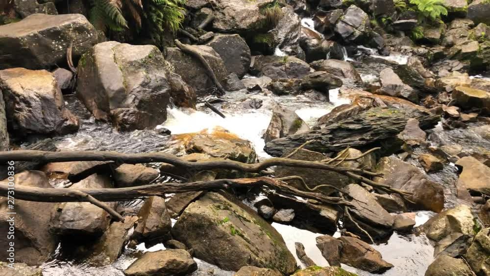 River runs down over tree logs down stream River runs down over tree logs down stream