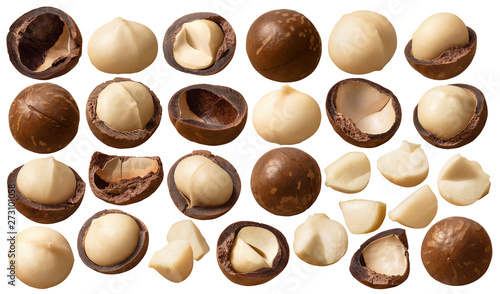 Macadamia nuts set isolated on white background. Package design elements with clipping path photo