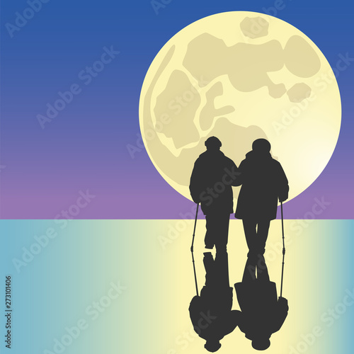 Senior couple walking silhouette in moonlight. Full supermoon. Vector illustration.