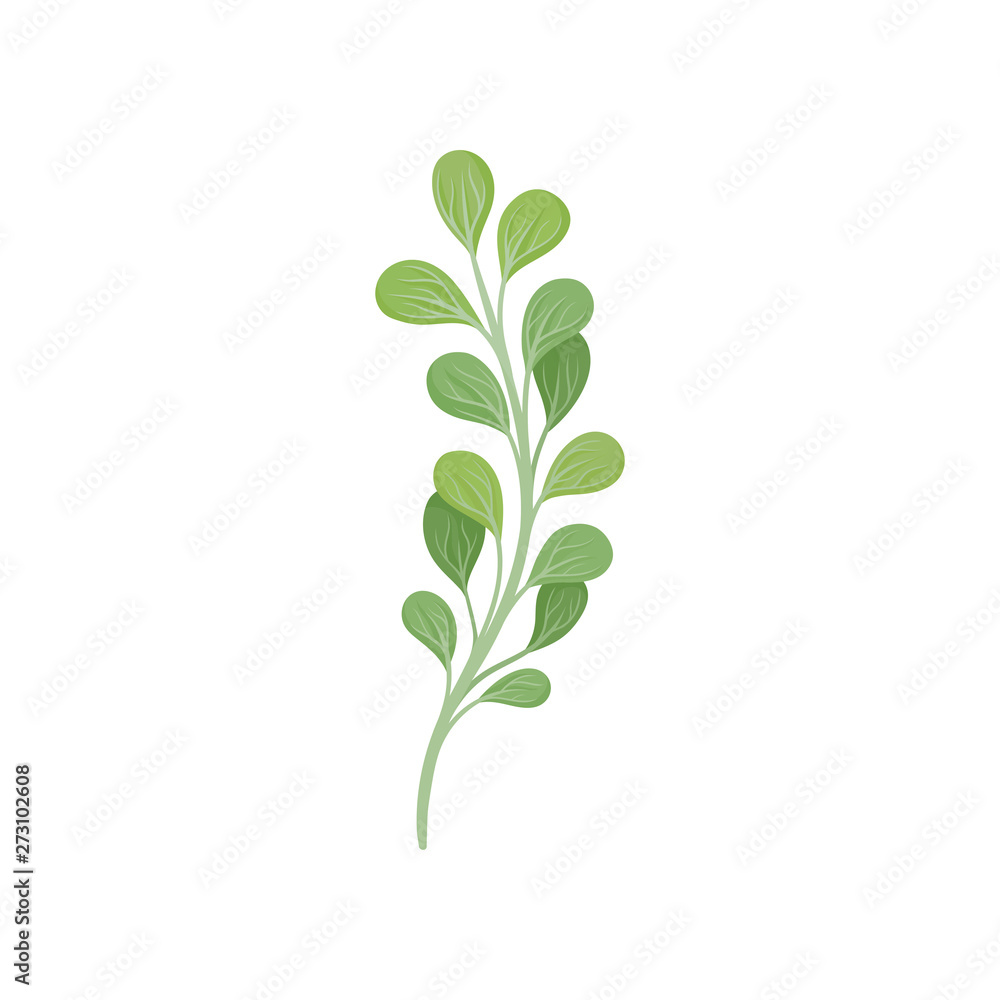 Fototapeta premium Curved stem with leaves. Vector illustration on white background.