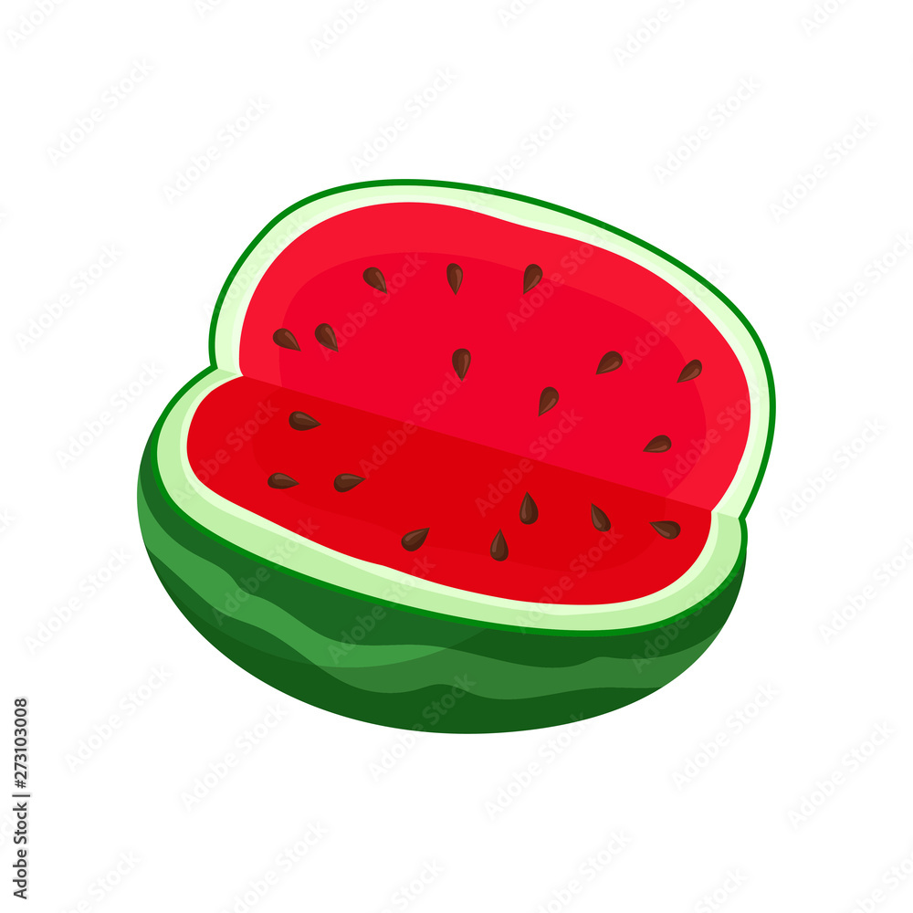 Most of the watermelon. Vector illustration on white background. Most of the watermelon. Vector illustration on white background.