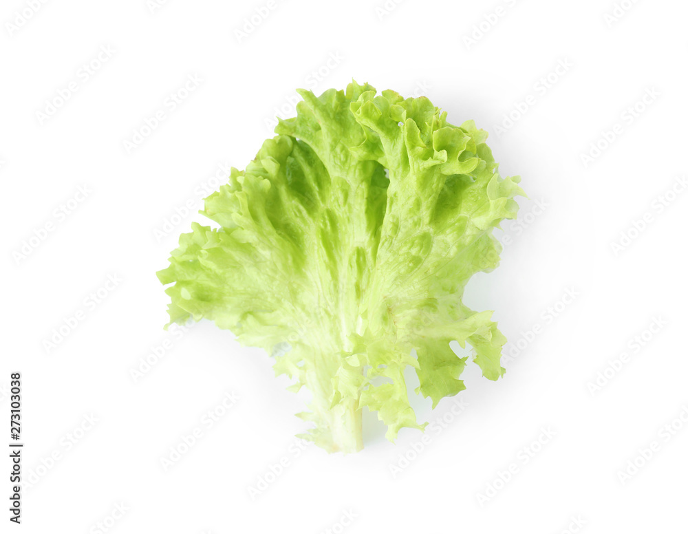 Leaf of fresh lettuce for burger isolated on white, top view Leaf of fresh lettuce for burger isolated on white, top view