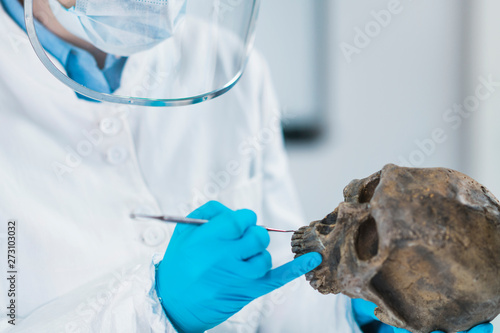 Ancient DNA Scientist Working in Bio Archaeology Lab photo