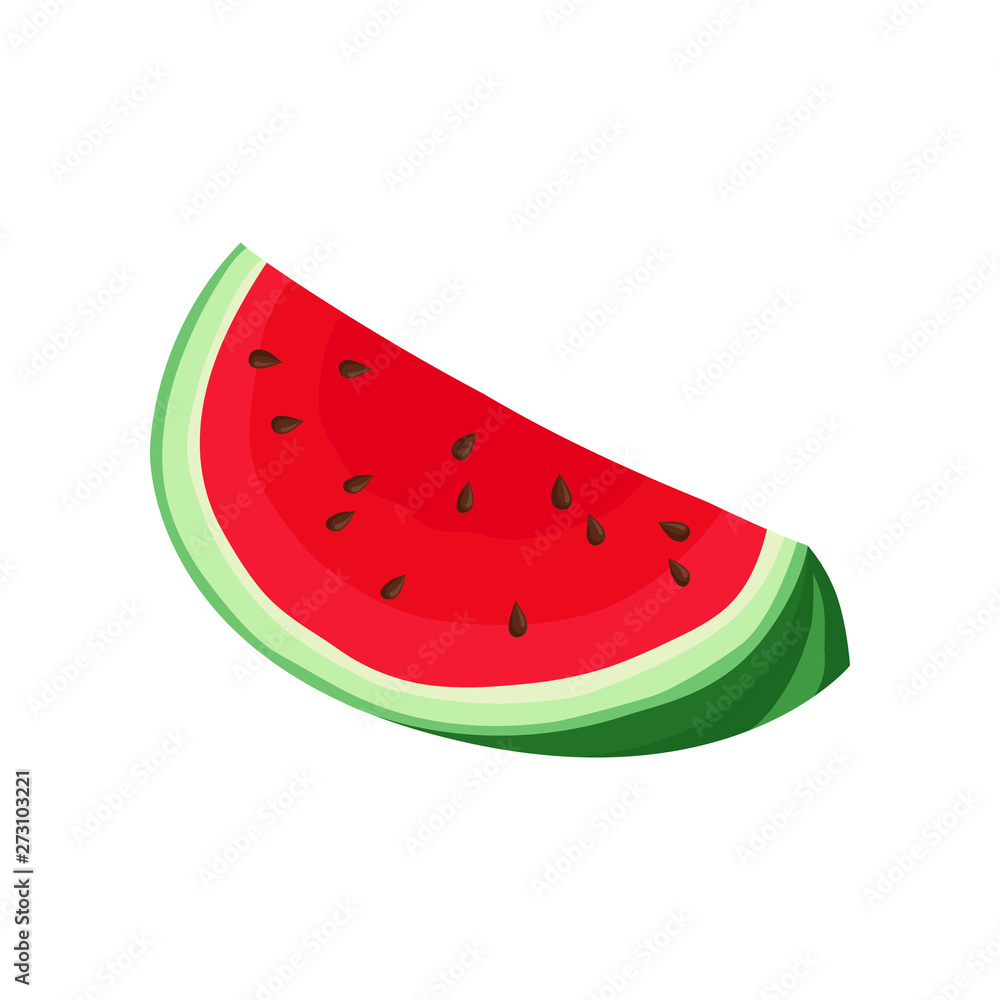 Quarter watermelon. Vector illustration on white background. Quarter watermelon. Vector illustration on white background.