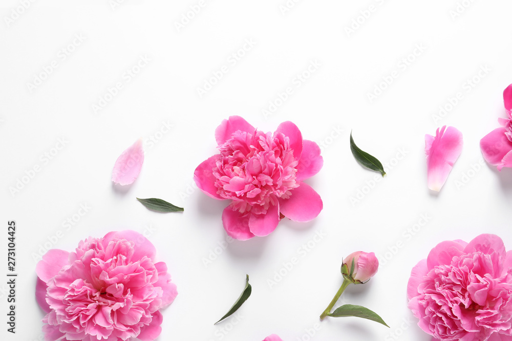 Beautiful peony flowers on white background, top view Beautiful peony flowers on white background, top view