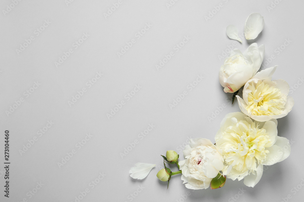 Beautiful peony flowers on grey background, top view Beautiful peony flowers on grey background, top view