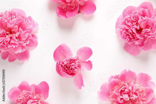 Beautiful peony flowers on white background, top view © New Africa