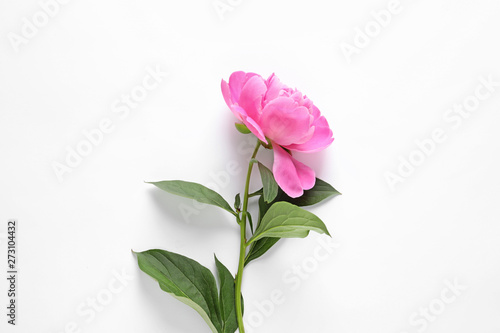 Beautiful peony flower on white background, top view