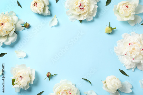 Frame made with fresh peonies on color background, flat lay. Space for text © New Africa