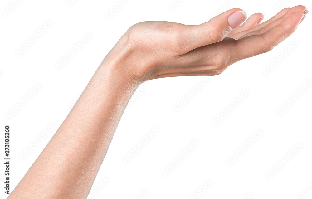 Female hand isolated on white background. White woman's hand showing symbols and gestures Female hand isolated on white background. White woman's hand showing symbols and gestures