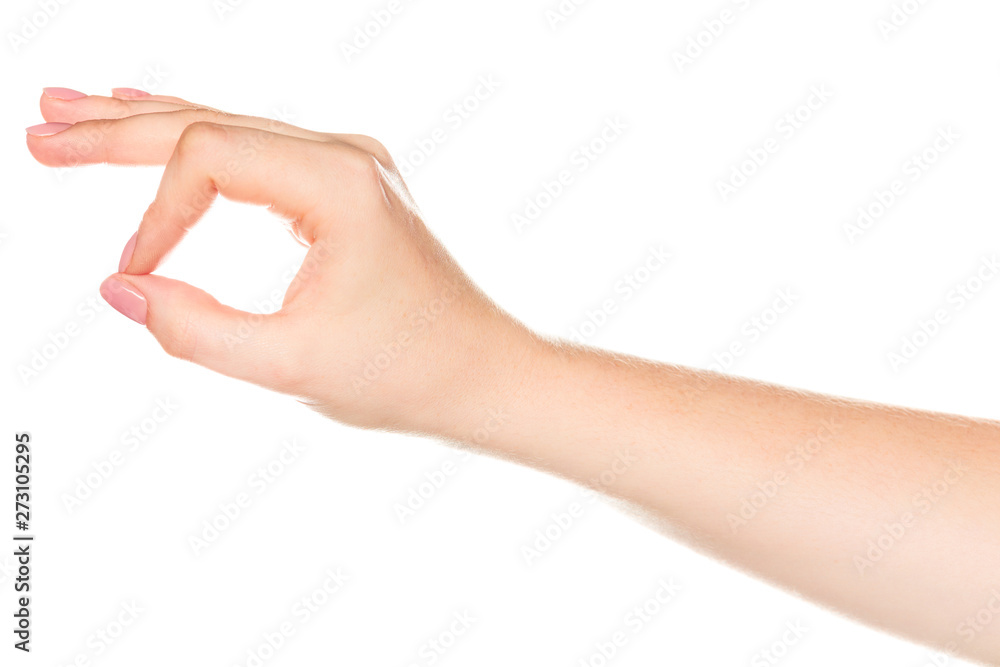 Beautiful woman's hands on the white background Beautiful woman's hands on the white background