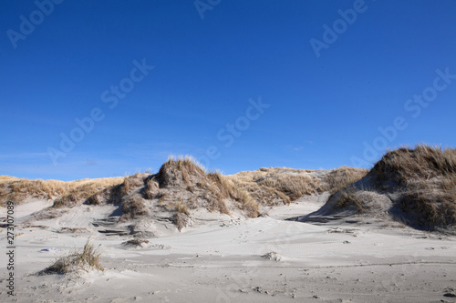 Island of Vlieland. Waddenzee. Dunes and beach. Dutch coast