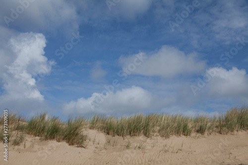 Dunes and beach Dutch Northsea coast. Julianadorp Netherlands