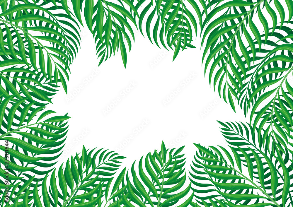 Frame of tropical leaves on a white background. Frame of tropical leaves on a white background.
