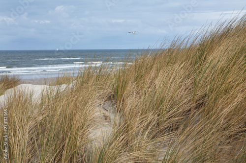 Dunes at the island of Vlieland. Waddenzee Netherlands. Coast