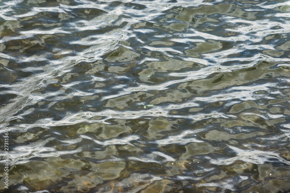 水面 水面