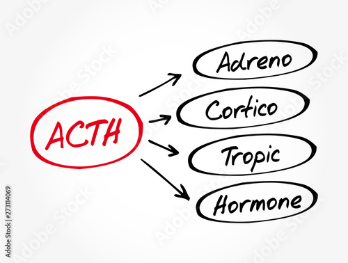 ACTH - Adrenocorticotropic hormone acronym, medical concept background
