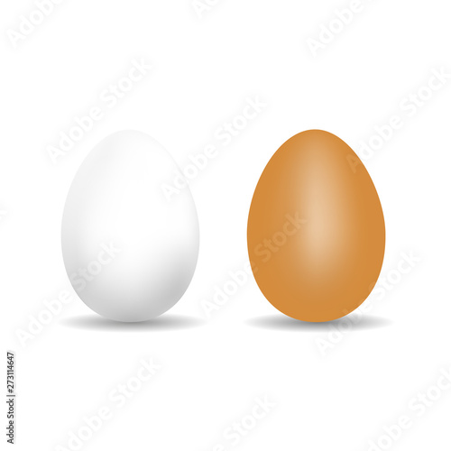 Realistic Chicken Egg - White And Brown Vector Template With Shadow - Isolated On White Background