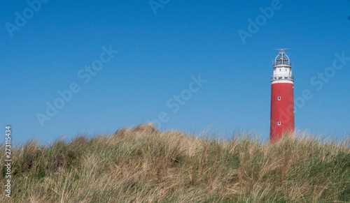 Dutch coast. Netherlands.. Dunes at Texel with lighthouse Northsea