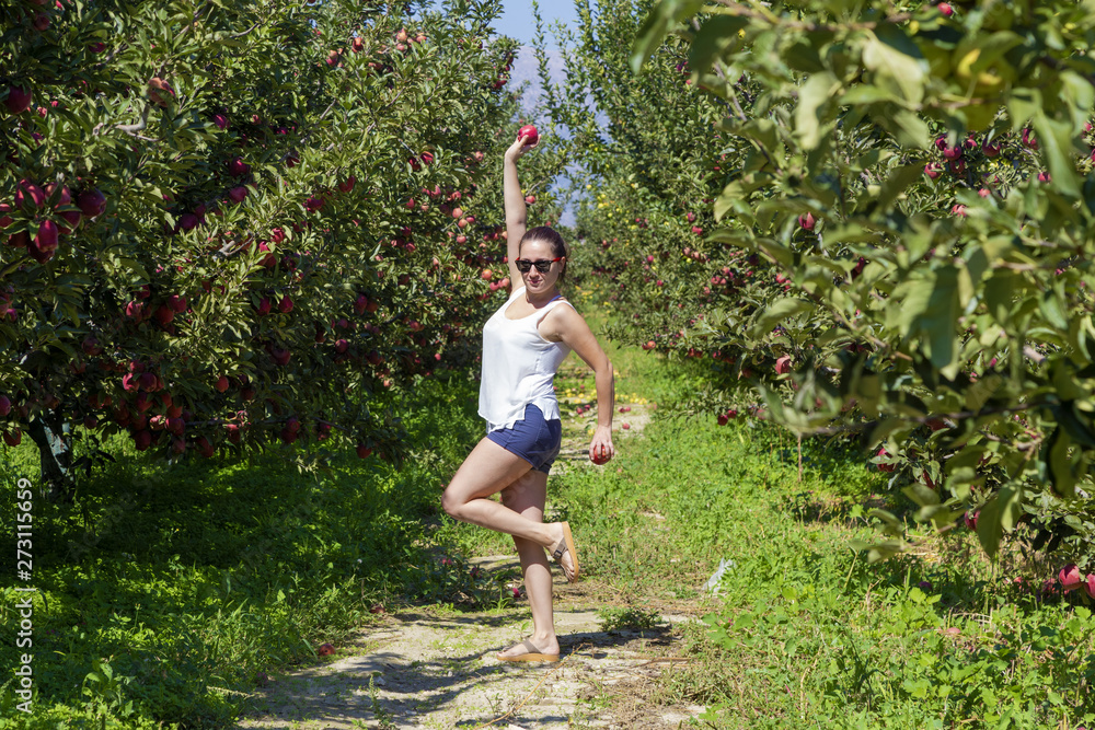 Happy young woman picking up organic apples from tree.